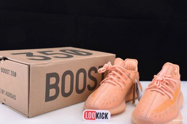 350 Adidas GW2870 Boost Yeezy V2 